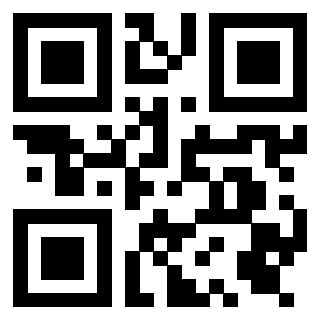Il Qr Code di 3919385894
