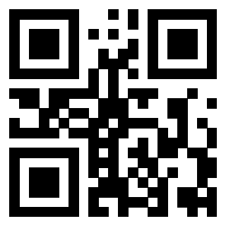Il Qr Code di 3919385907