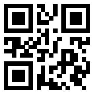 Il Qr Code di 3919385925