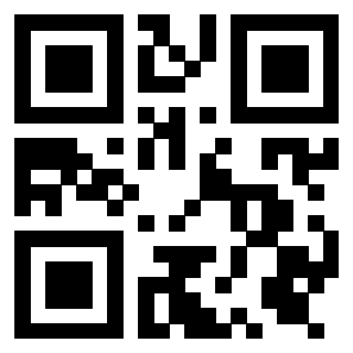 Il Qr Code di 3919385983