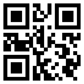 Il Qr Code di 3919385992