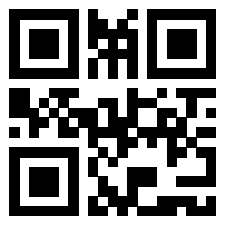Il Qr Code di 3919386008