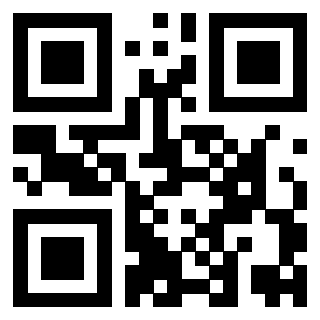 Il Qr Code di 3919386009