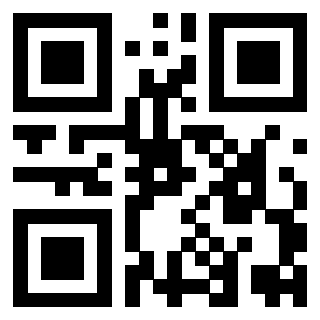 Il Qr Code di 3919386024