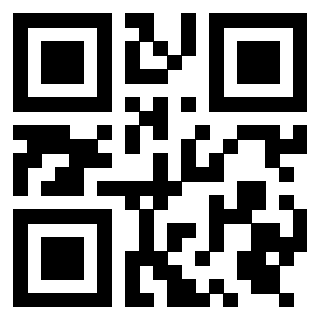 Il Qr Code di 3919386047