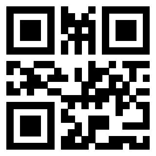 3919386082 QrCode associato