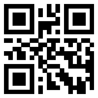 Il Qr Code di 3919386130