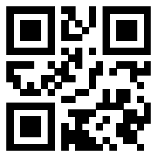 Il Qr Code di 3919386164