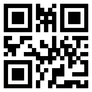 QrCode di 3919386169