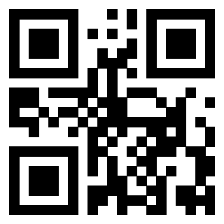 Il Qr Code di 3919386171