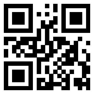 Il Qr Code di 3919386200