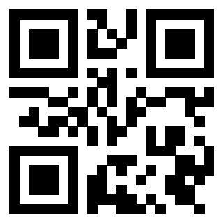 QrCode di 3919386216