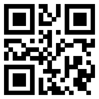 Il Qr Code di 3919386217