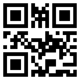 Il Qr Code di 3919386220