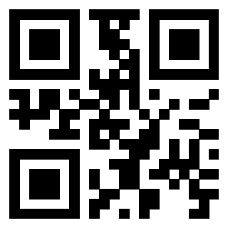 Il Qr Code di 3919386221