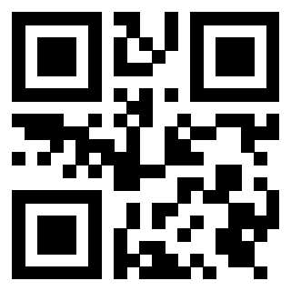 Il Qr Code di 3919386228