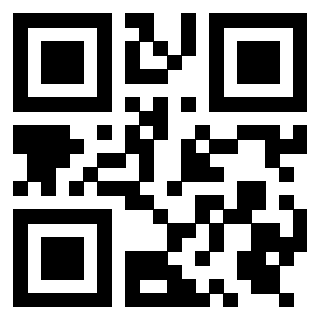 Il Qr Code di 3919386229