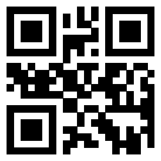 QrCode di 3919386264