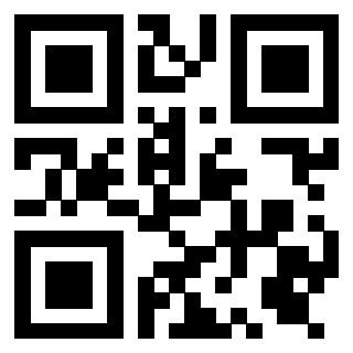 Il Qr Code di 3919386325