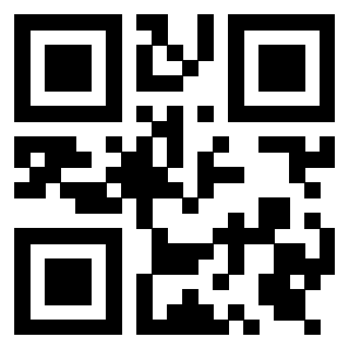 QrCode di 3919386335