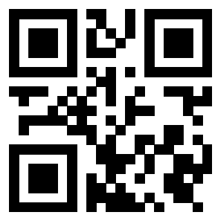 Il Qr Code di 3919386339