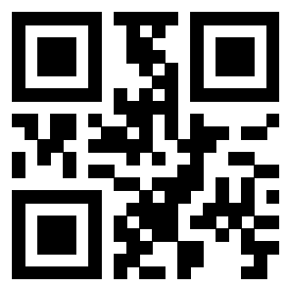 Il Qr Code di 3919386351