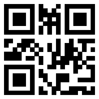Il Qr Code di 3919386402