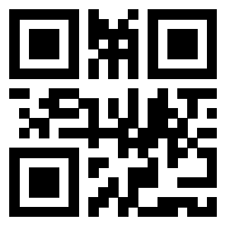 Il Qr Code di 3919386403