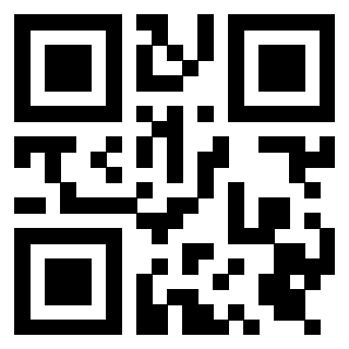 Il Qr Code di 3919386436
