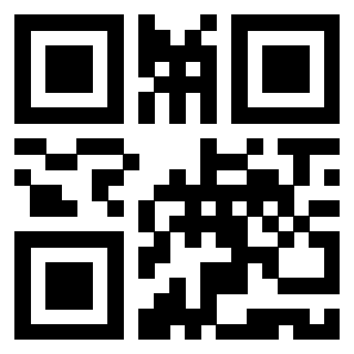 Il Qr Code di 3919453077
