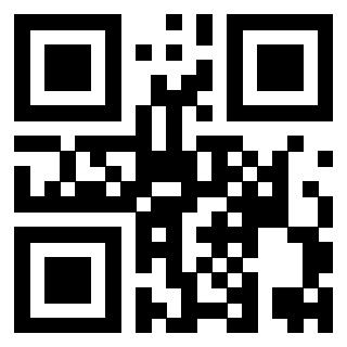 Il Qr Code di 3919453082