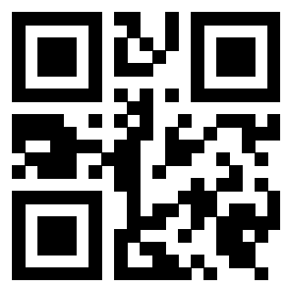Il Qr Code di 3919453085