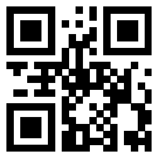 Il Qr Code di 3919453088