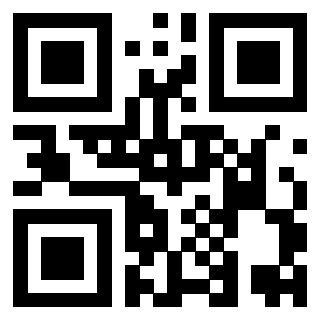 Il Qr Code di 3919453090