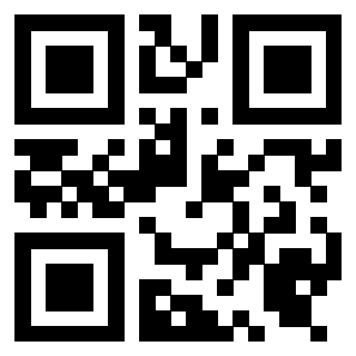 3919453091 QrCode associato