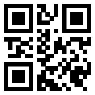 3919453111 QrCode associato