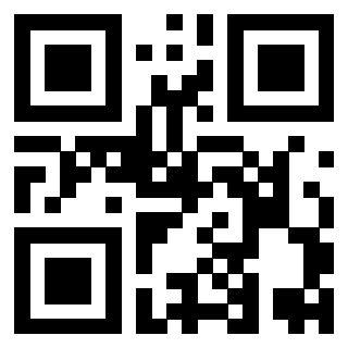 Il Qr Code di 3919453125
