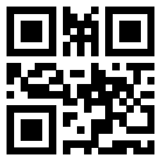 Il Qr Code di 3919453205
