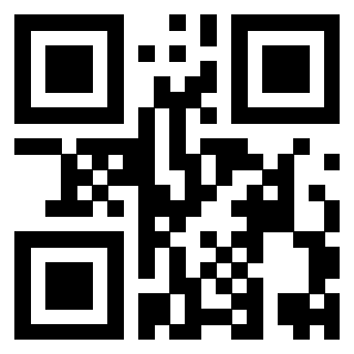 Il Qr Code di 3919453208