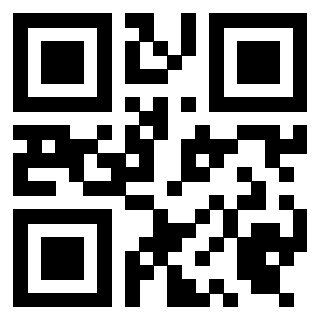 Il Qr Code di 3919453260