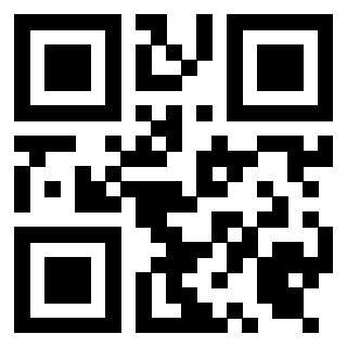 Il Qr Code di 3919453269