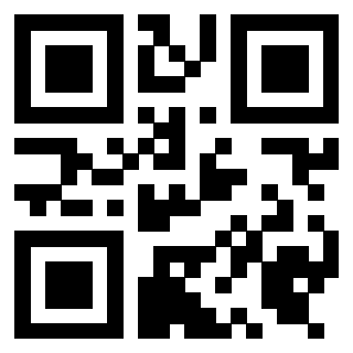 Il Qr Code di 3919453311