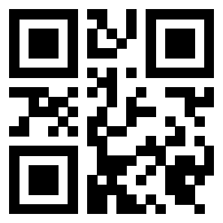 3919453334 QrCode associato