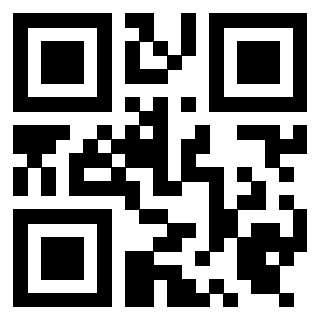 Il Qr Code di 3919453417