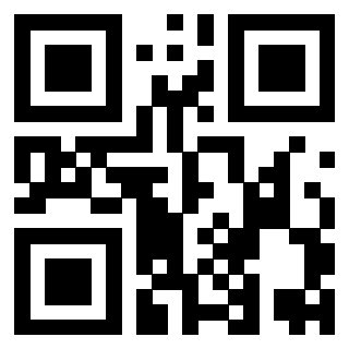 Il Qr Code di 3919453521
