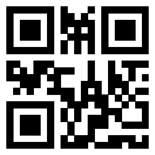 Il Qr Code di 3919453527