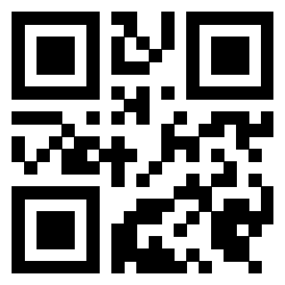 Il Qr Code di 3919453604