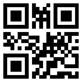 3919453613 QrCode associato