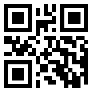Il Qr Code di 3919453623