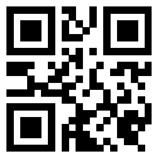 Il Qr Code di 3919453634